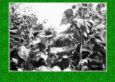 s3309.jpg
