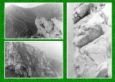 s6207.jpg