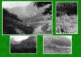 s6225.jpg