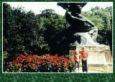 s6607.jpg